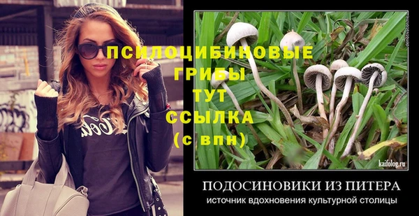 соль ск Верхнеуральск