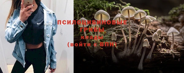 apvp Бугульма
