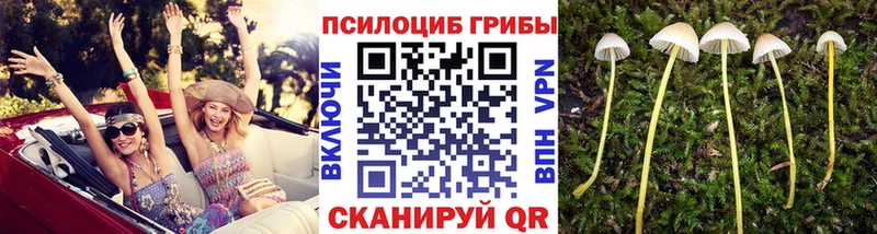 mega рабочий сайт  Волоколамск  Псилоцибиновые грибы Magic Shrooms 
